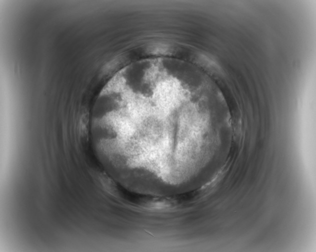X0000086010175200704091102