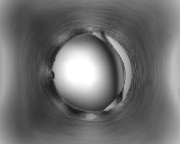 X0000086010176200704091102