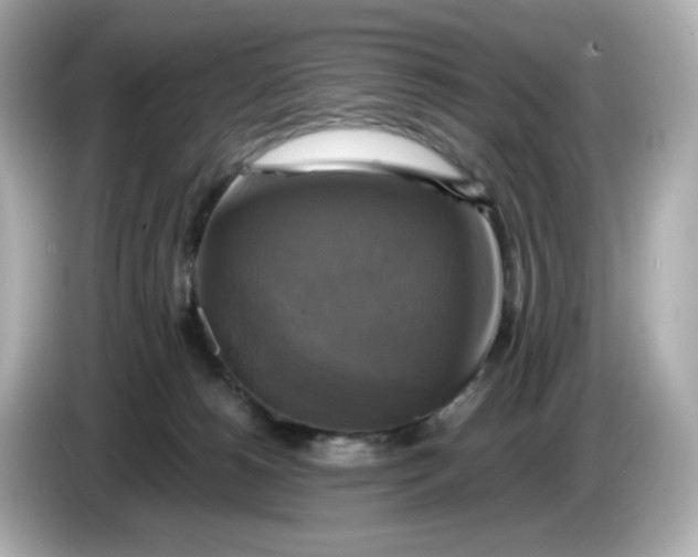X0000086010180200704091102