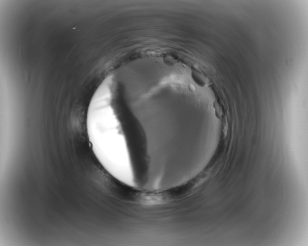 X0000086010181200704091102