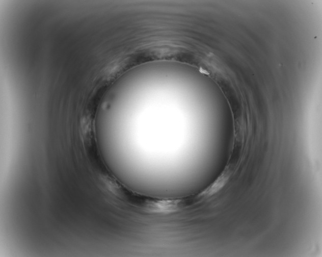 X0000086010184200704091102