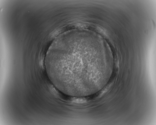 X0000086010185200704091102