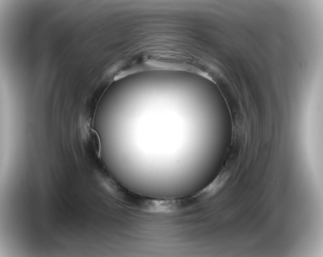 X0000086010188200704091102