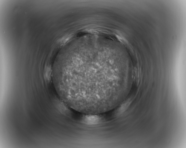 X0000086010189200704091102