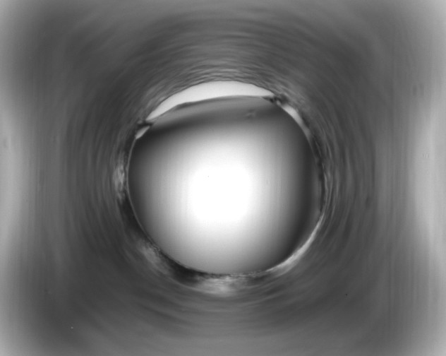 X0000086010190200704091102