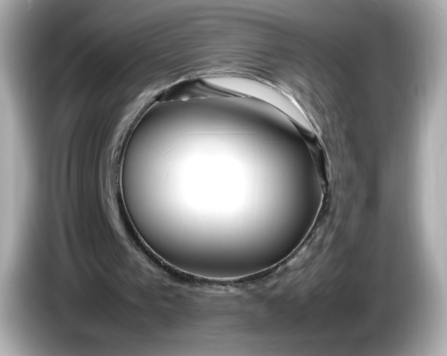 X0000086010193200704091101