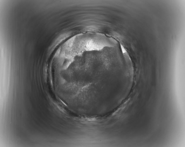 X0000086010194200704091101