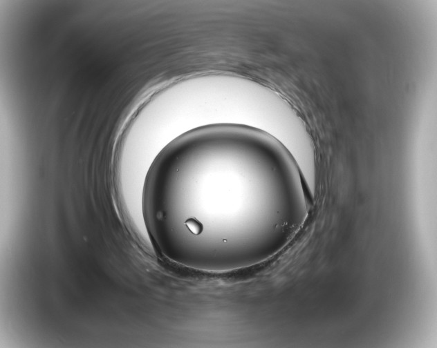 X0000086010195200704091101