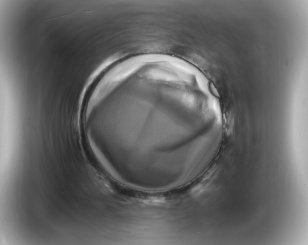 X0000086010196200704091101