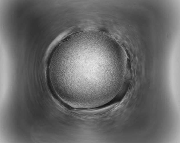 X0000086010197200704091101