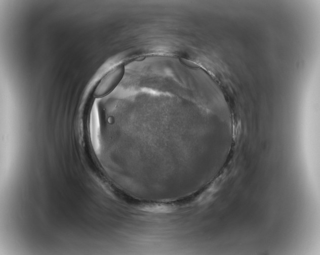 X0000086010198200704091101