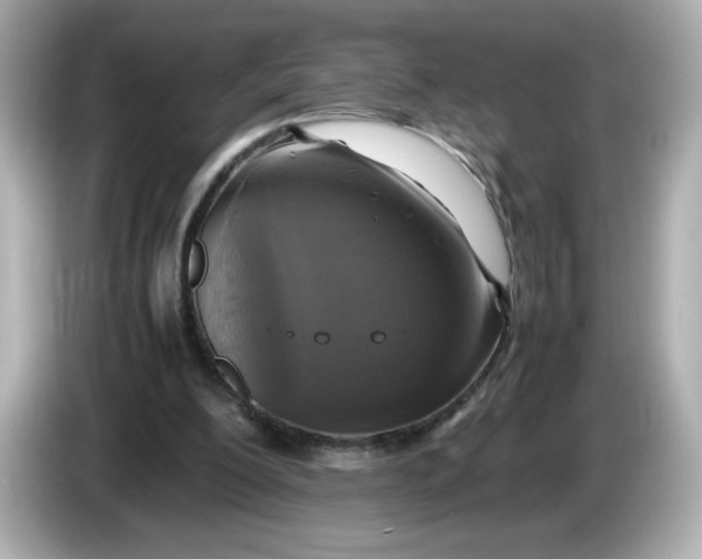X0000086010200200704091101