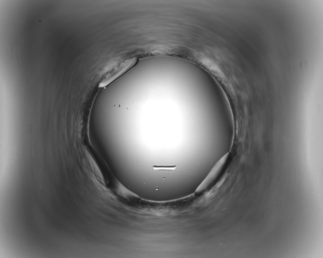 X0000086010201200704091101