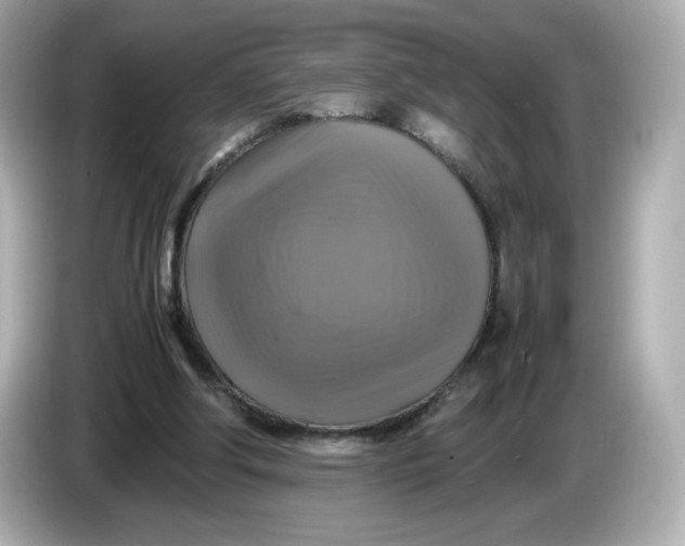X0000086010202200704091101