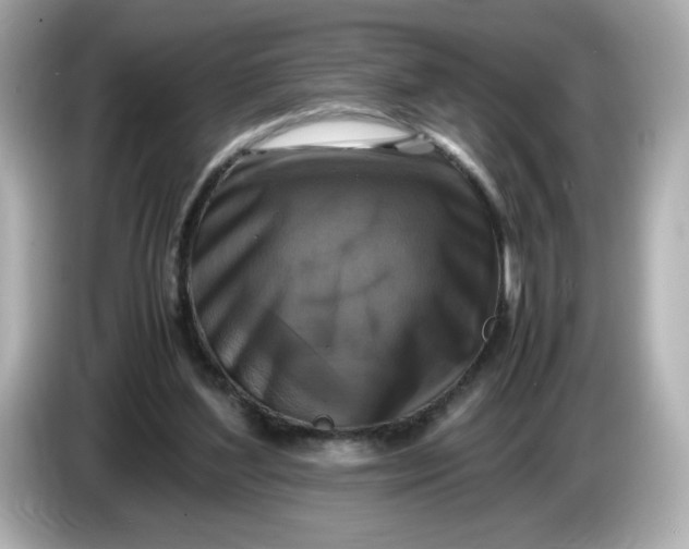 X0000086010204200704091101