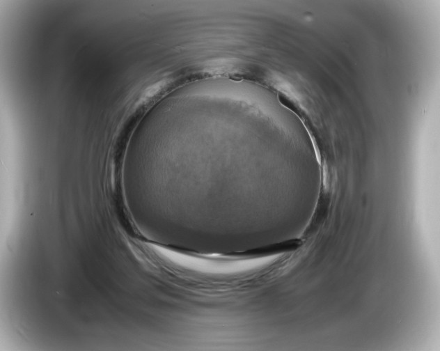 X0000086010205200704091101