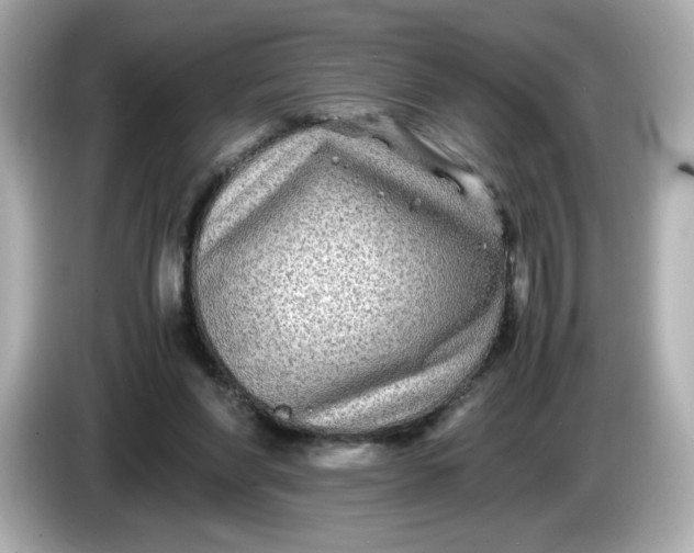 X0000086010206200704091101