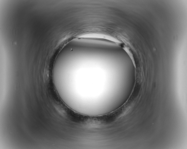 X0000086010207200704091101