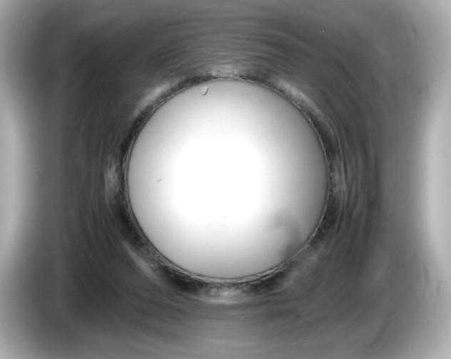 X0000086010208200704091101