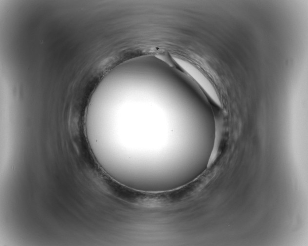 X0000086010209200704091101