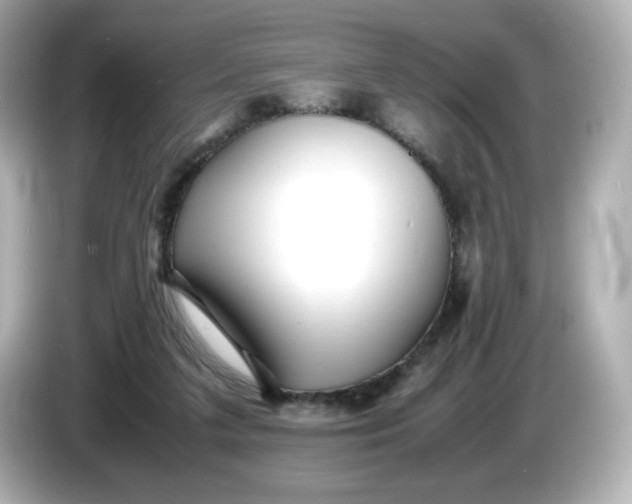 X0000086010211200704091101