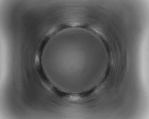 X0000086010214200704091101