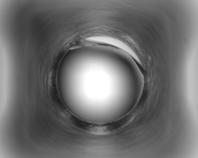 X0000086010217200704091101