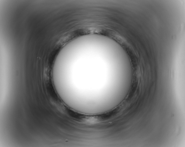 X0000086010218200704091101