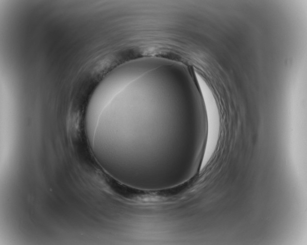 X0000086010219200704091101