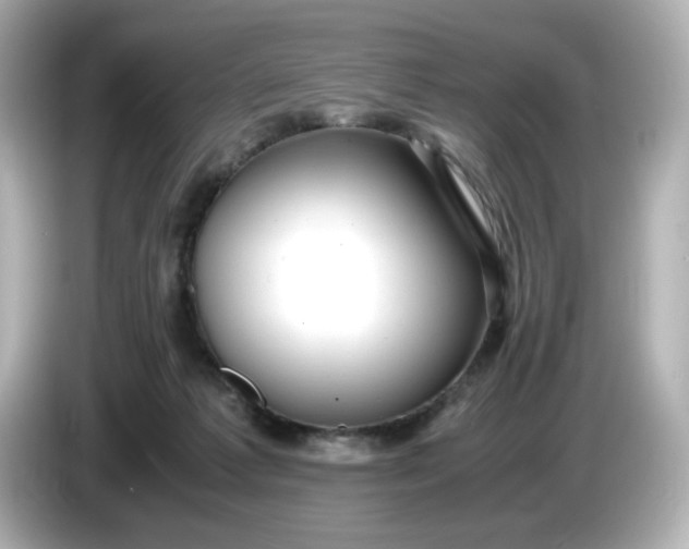 X0000086010221200704091101