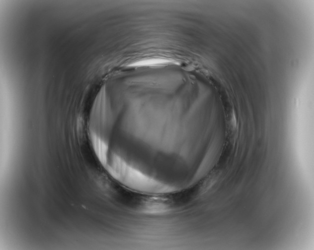 X0000086010222200704091101