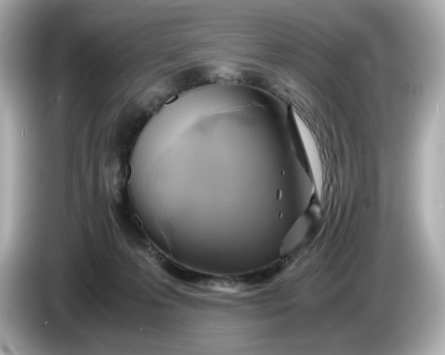 X0000086010223200704091101