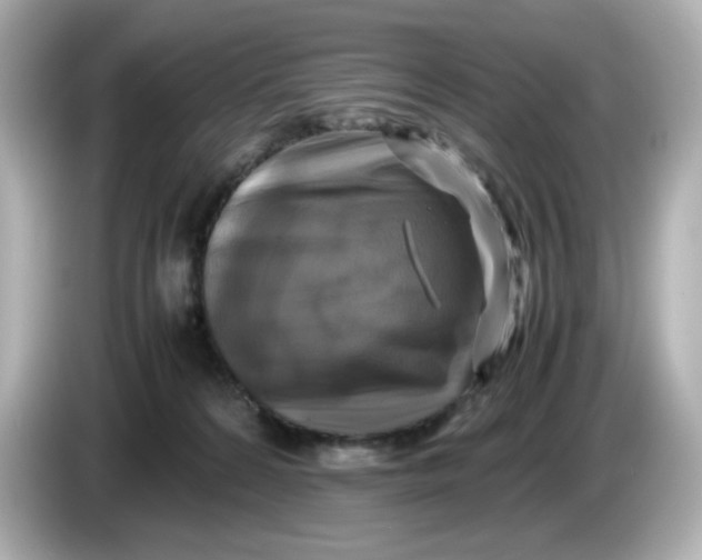 X0000086010224200704091101