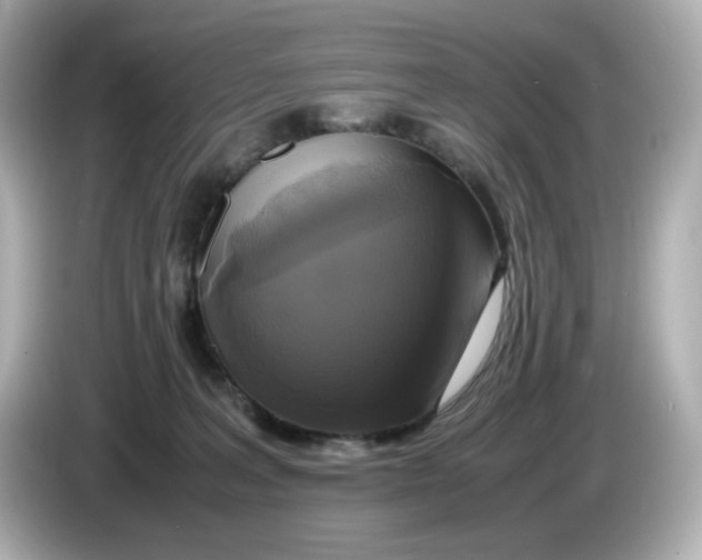 X0000086010227200704091101