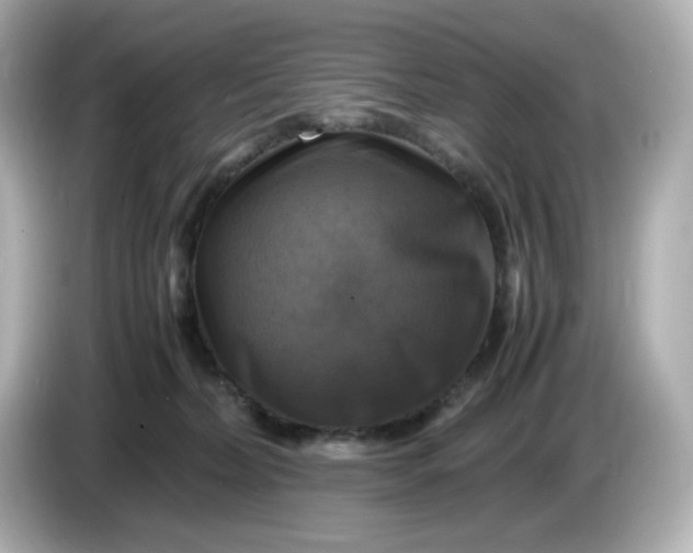 X0000086010228200704091101
