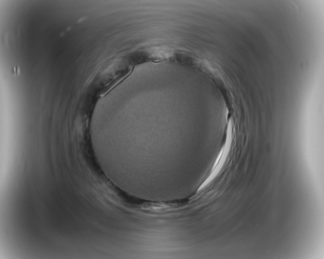 X0000086010229200704091101
