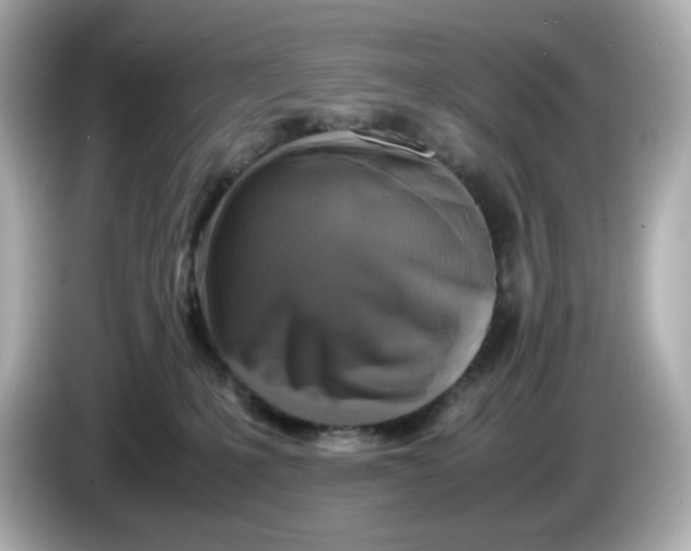 X0000086010231200704091101