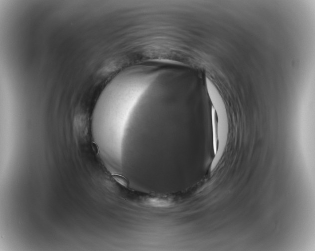 X0000086010232200704091101