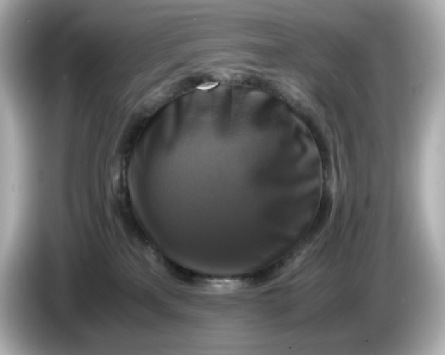 X0000086010233200704091101