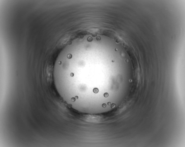 X0000086010234200704091101