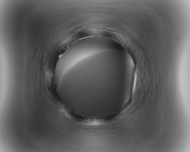 X0000086010235200704091101