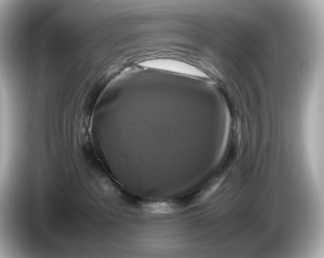 X0000086010237200704091101