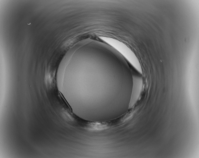 X0000086010239200704091101