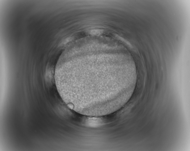 X0000086010240200704091101