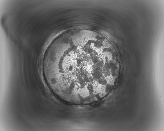 X0000086010241200704091100