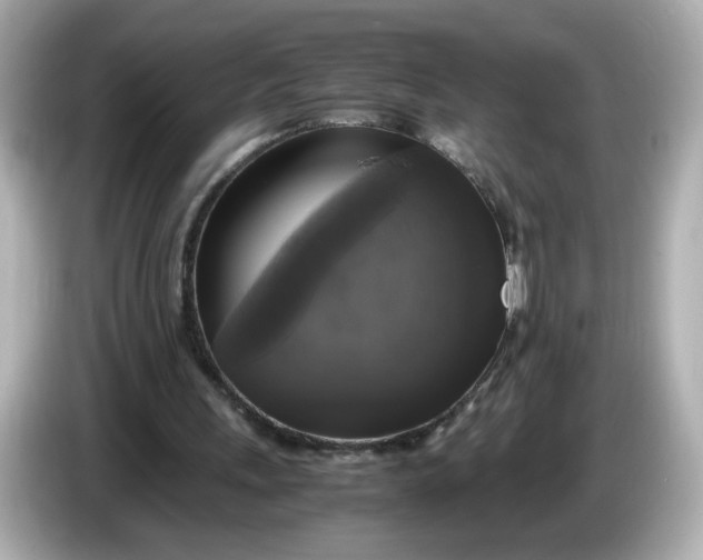 X0000086010243200704091100