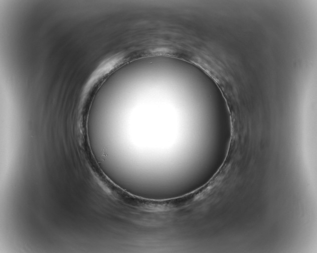 X0000086010245200704091100