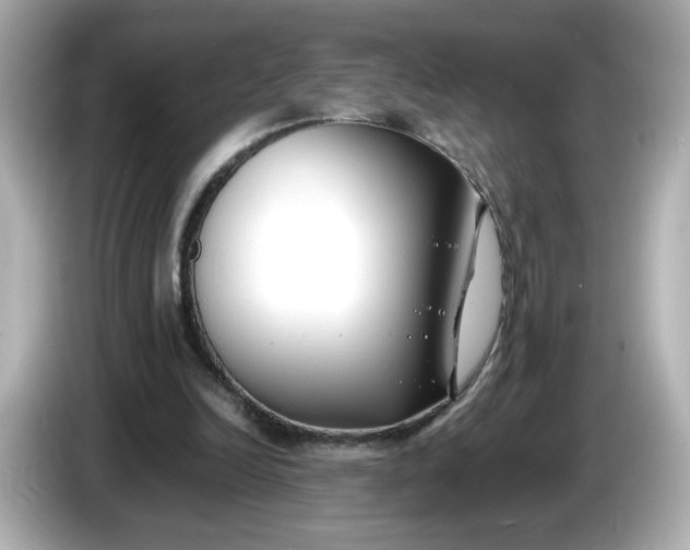 X0000086010246200704091100