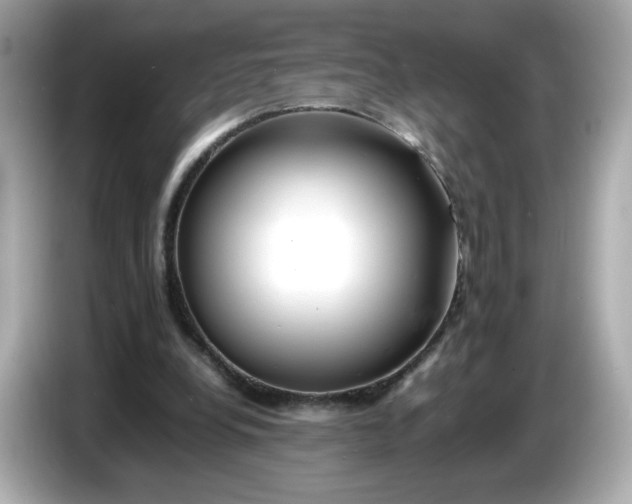 X0000086010248200704091100