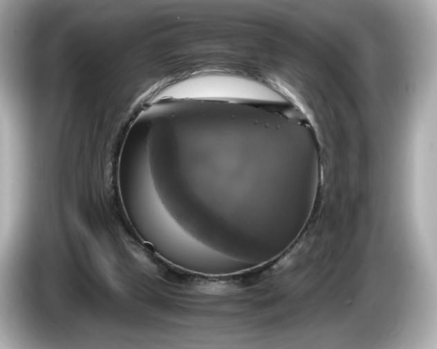 X0000086010249200704091100